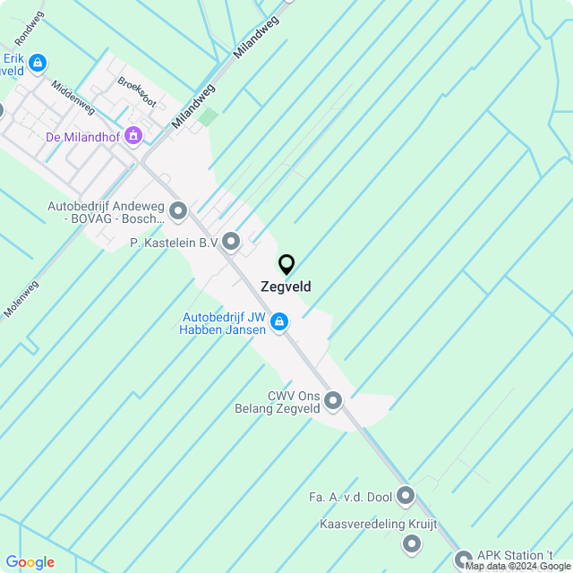 Bloemist Zegveld – Jouw Bloemenwinkel voor Prachtige Bloemen en Boeketten